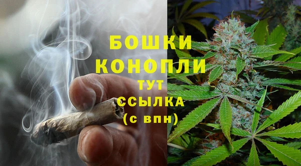 прущие крисы Карпинск