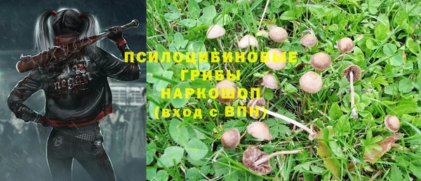 прущие крисы Карпинск