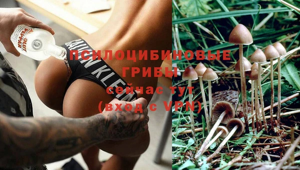 кокаин перу Касимов